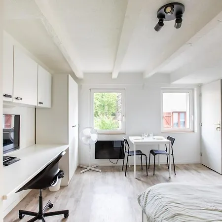N1 Deluxe Bright Studio, Renovated, Free Parking, Mulhouse Centre Διαμέρισμα