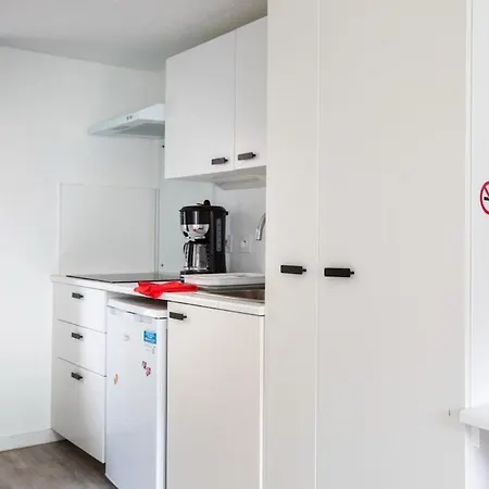 N1 Deluxe Bright Studio, Renovated, Free Parking, Mulhouse Centre Διαμέρισμα