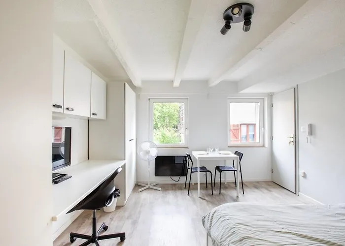 N1 Deluxe Bright Studio, Renovated, Free Parking, Centre 公寓