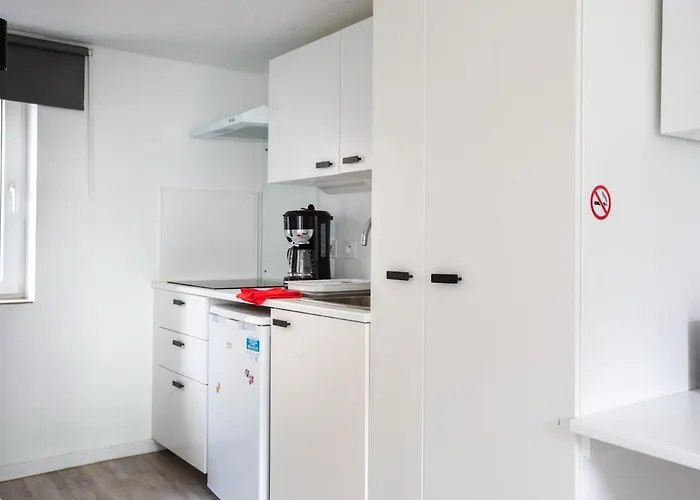 N1 Deluxe Bright Studio, Renovated, Free Parking, Centre 公寓