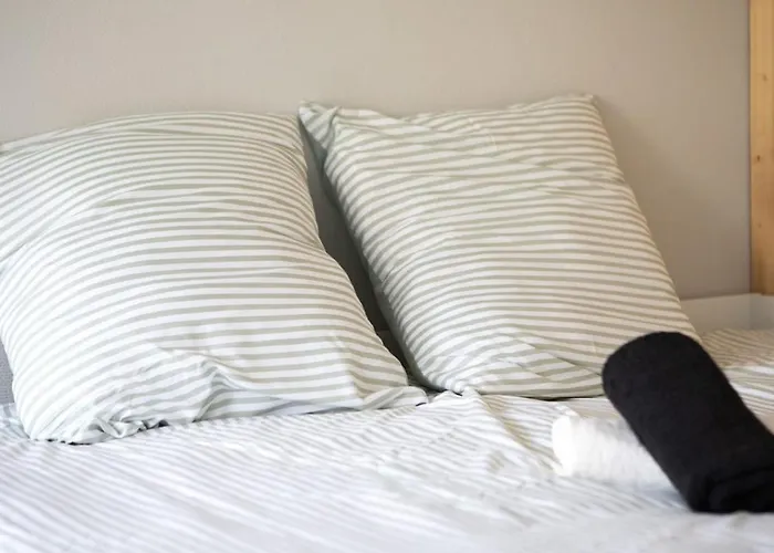 N1 Deluxe Bright Studio, Renovated, Free Parking, Centre